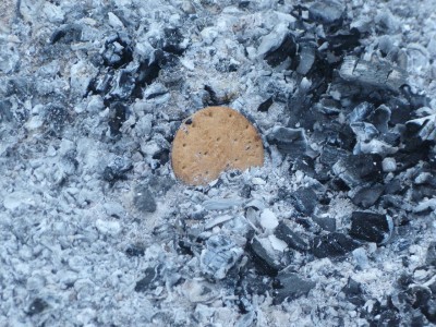 and a very unexplained cookie in the remains of the fire